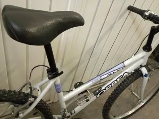 Bicicleta Orbea Action 26