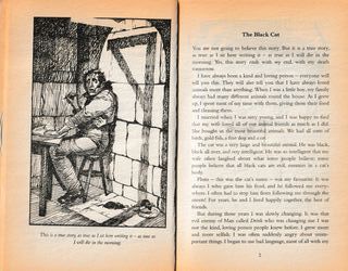 The Black Cat and Other Stories (Penguin Reader...