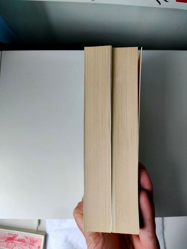 Don Chisciotte della Mancha