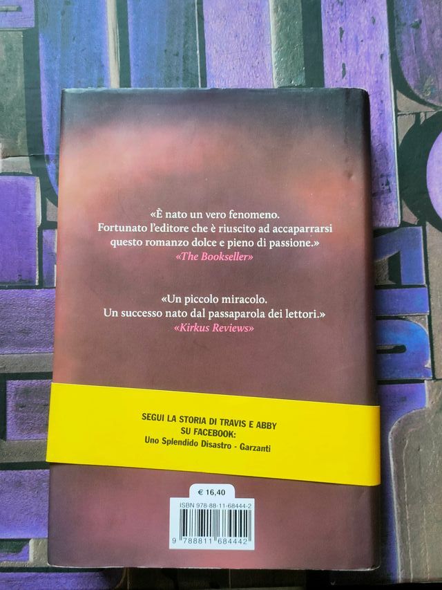 Uno splendido disastro