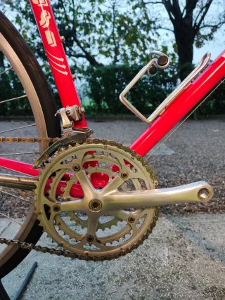 Bici Masi 3V 55x55 Campagnolo Athena