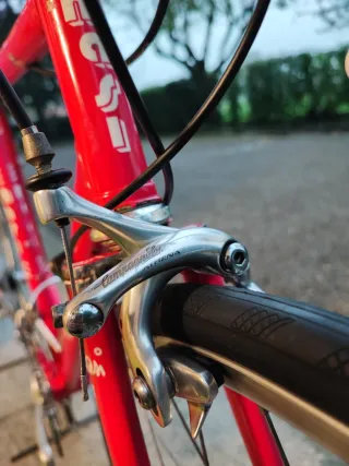 Bici Masi 3V 55x55 Campagnolo Athena