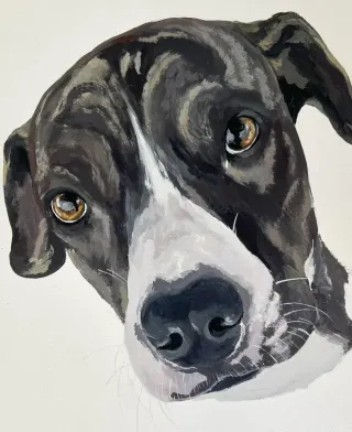 Retrato personalizado de mascota