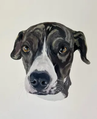 Retrato personalizado de mascota