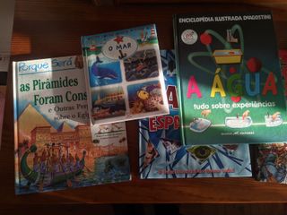 Conjunto de livros "mini-sabichão"