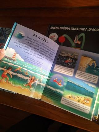 Conjunto de livros "mini-sabichão"