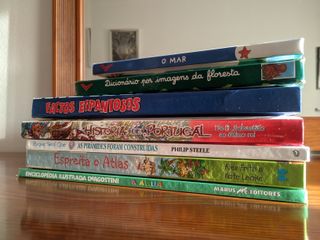 Conjunto de livros "mini-sabichão"