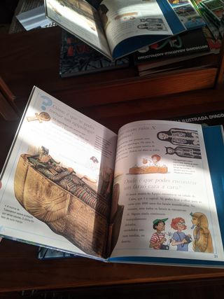 Conjunto de livros "mini-sabichão"