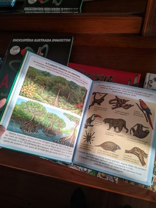 Conjunto de livros "mini-sabichão"