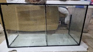 Restauracion de acuarios