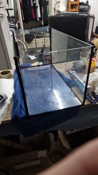 Restauracion de acuarios