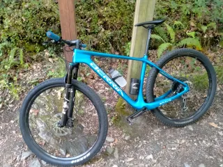 Bicicleta BTT Carbono BRAVO