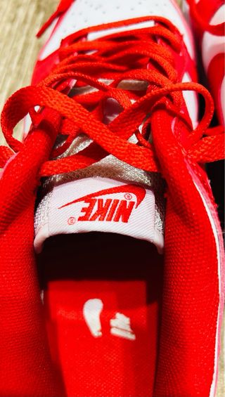 Nike Dunk Low Next Nature Rojas Mujer