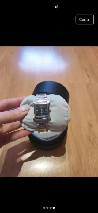 Reloj Paul Versan Mujer