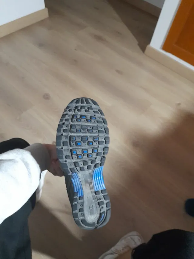 Zapatillas Nike Negras y Azules