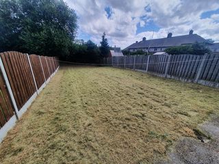 Jardinero economíco