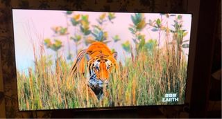 TV LG OLED 55 Negro Puro Nuevo 2024
