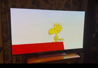 TV LG OLED 55 Negro Puro Nuevo 2024