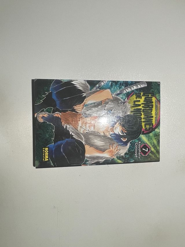 Colección de guardianes de la noche