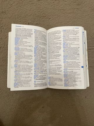 Diccionario Pocket Plus Inglés (Pocket Plus): D...