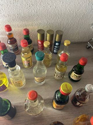 Collezione Mini Bottiglie Vuote