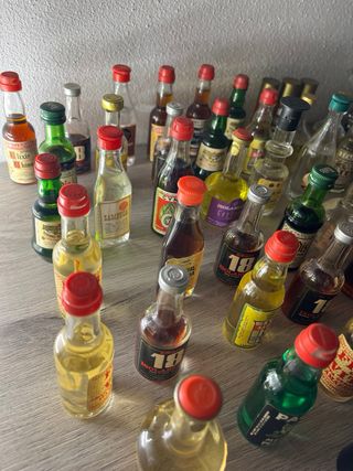 Collezione Mini Bottiglie Vuote