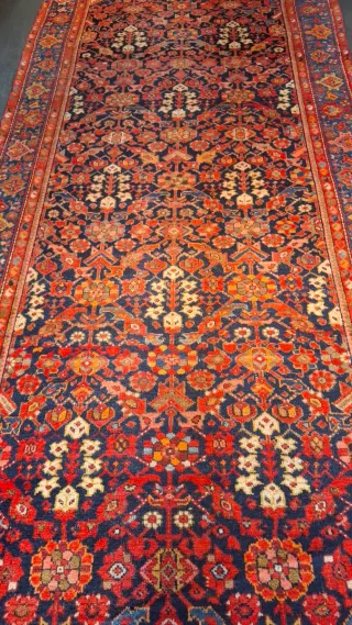 Tappeto persiano malayer antico lana blu e rosso