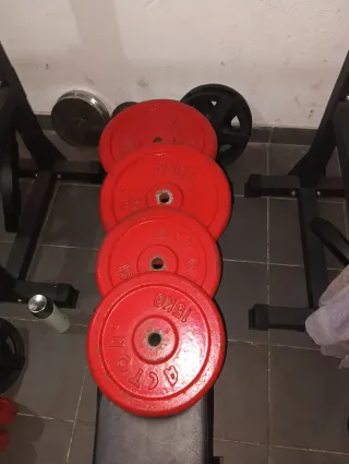 Discos de pesas 28 mm