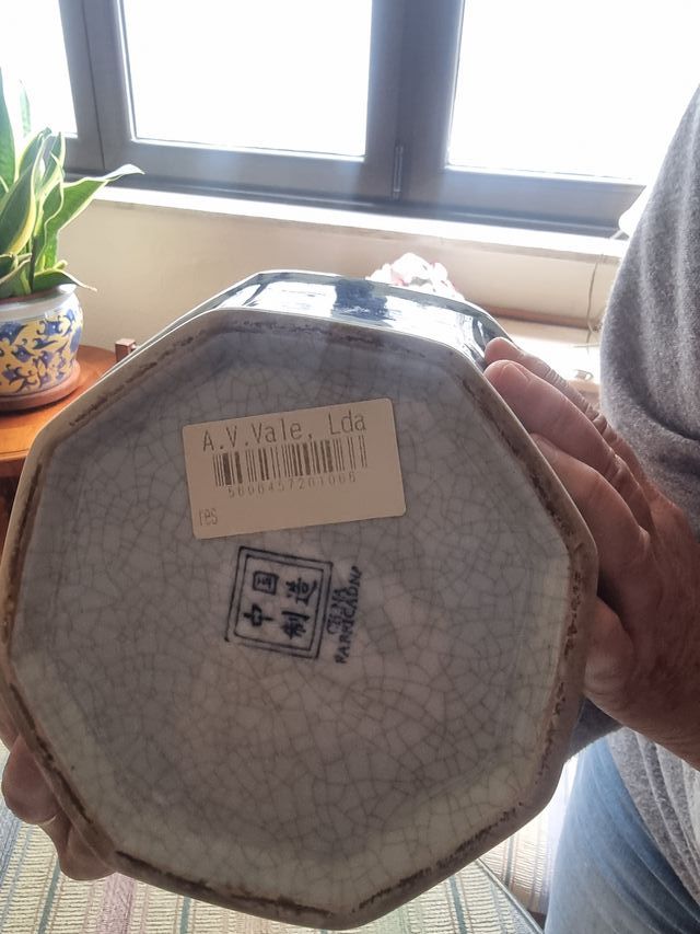 Barattolo in porcellana blu e bianco