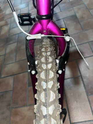 Bicicleta Morada Mujer