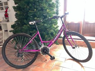Bicicleta Morada Mujer