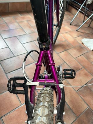 Bicicleta Morada Mujer