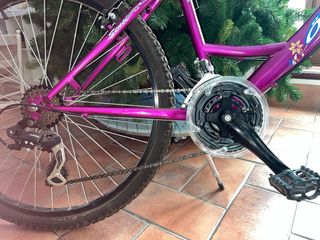 Bicicleta Morada Mujer