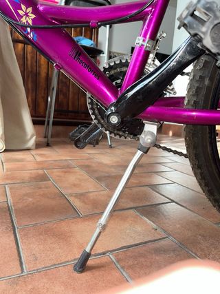 Bicicleta Morada Mujer