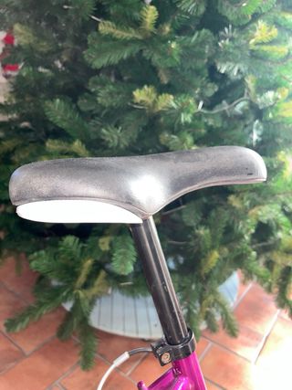 Bicicleta Morada Mujer