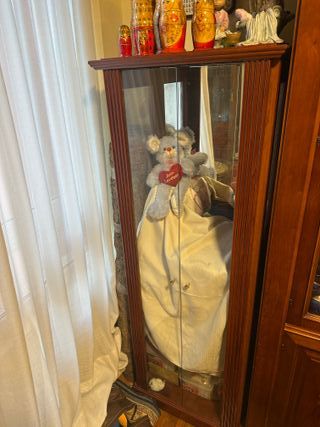 Vitrina de madera y cristal