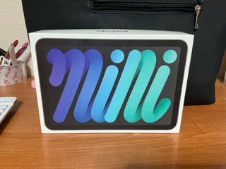 iPad mini 6
