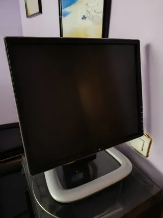 Pantalla de ordenador