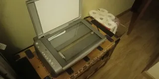 Impresora Epson Gris/Plata 4250dx