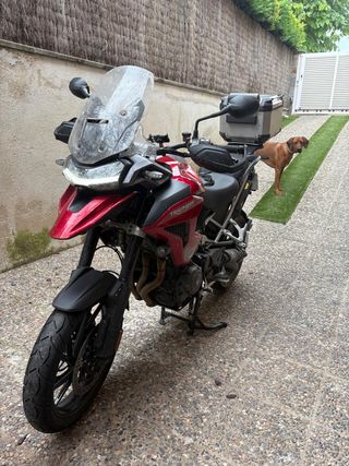 Triumph Tiger 1200 GT Pro 2024