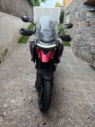 Triumph Tiger 1200 GT Pro 2024