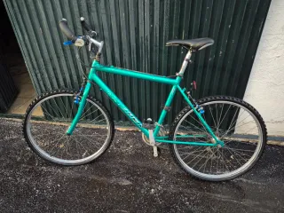 Bicicleta montaña verde