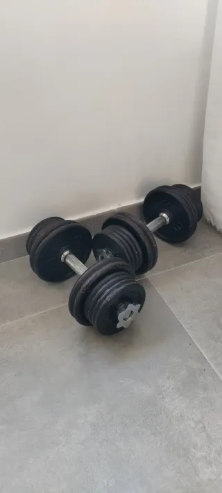 Pesas de gimnasio