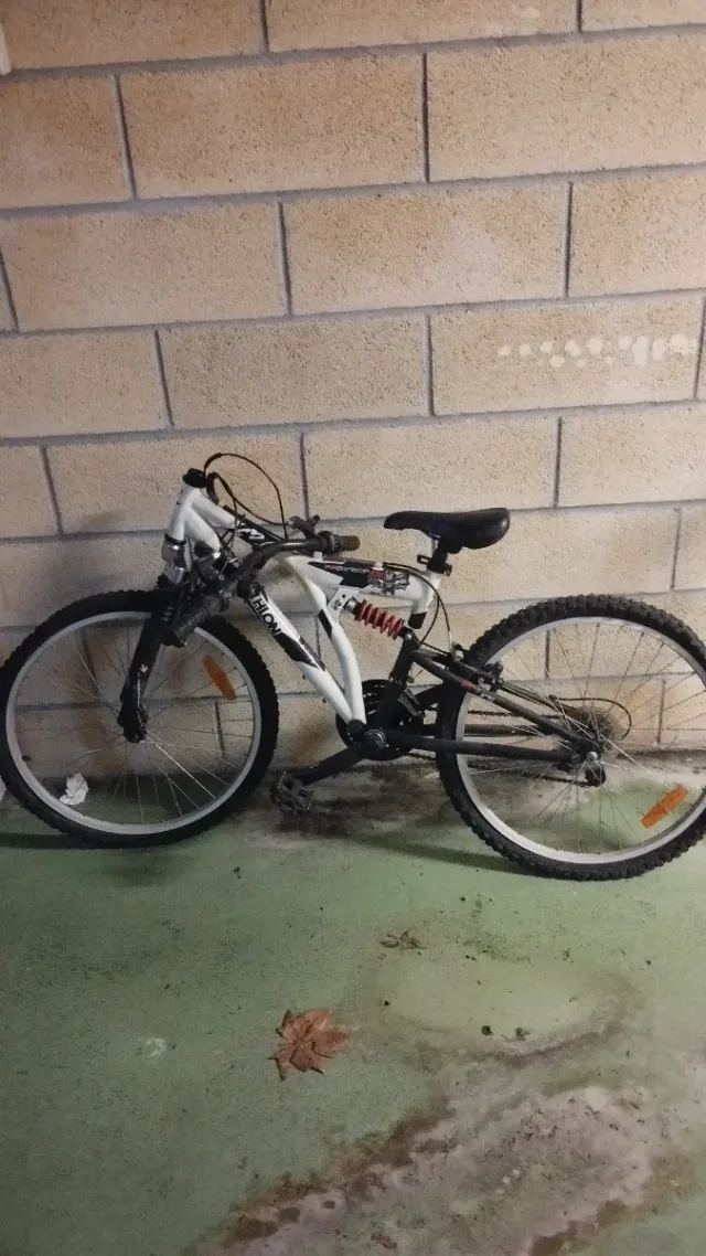 Bicicleta OIARTZUN para chaval/a