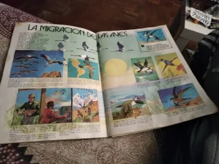 El libro de las adivinanzas 2 de Bimbo album 266cr