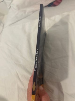 El iaio a Nova York (L'Àmfora) (Catalan and Val...