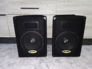 2 Altavoces Profesionales Gemini GT 1002