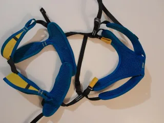 Arnés infantil escalada Salewa Rookie Pro