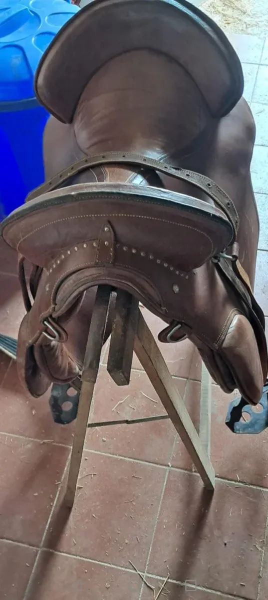 Montura Española Marrón