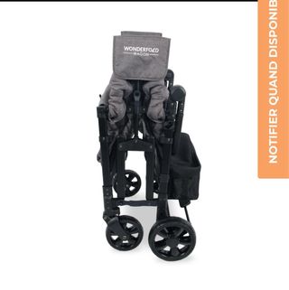 Carro de paseo 4 plazas gris .